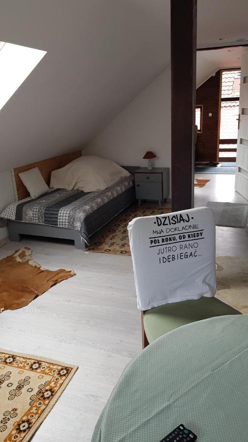 Turystyczny Apartament Na Poddaszu Skoczów المظهر الخارجي الصورة