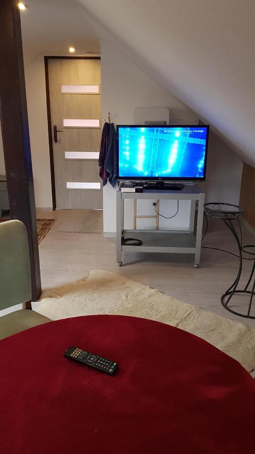 Turystyczny Apartament Na Poddaszu Skoczów المظهر الخارجي الصورة