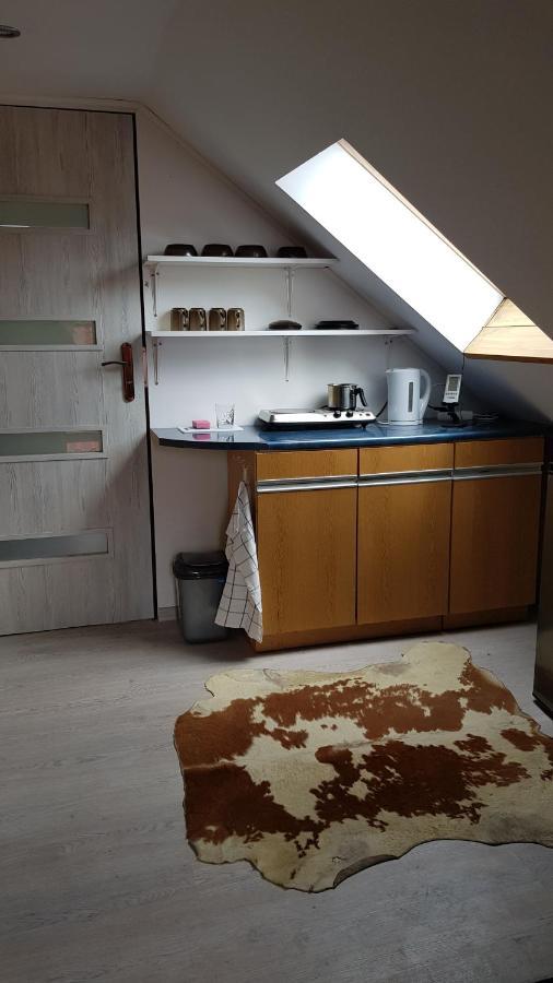 Turystyczny Apartament Na Poddaszu Skoczów المظهر الخارجي الصورة